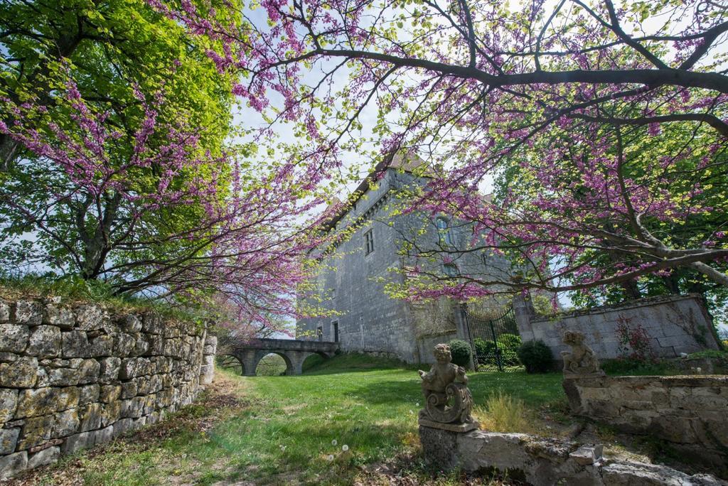 Chateau De Goudourvilleヴィラ エクステリア 写真