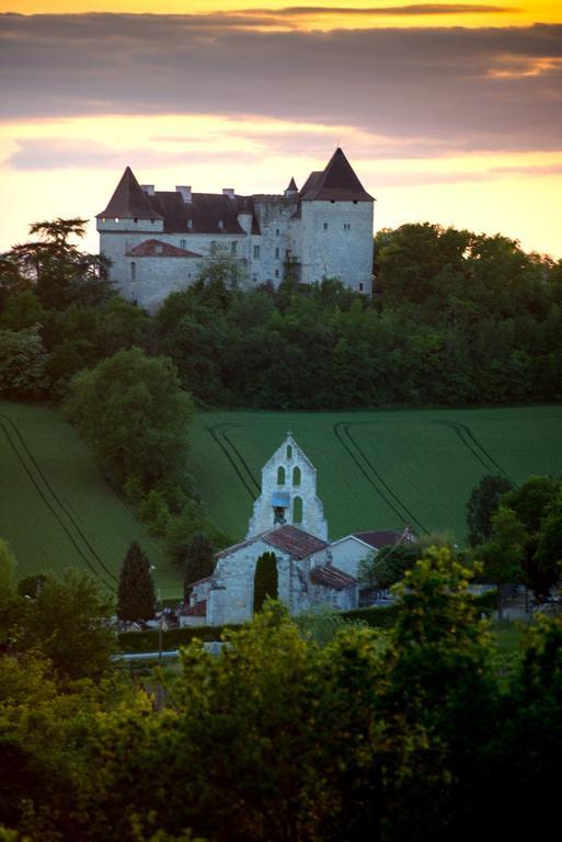 Chateau De Goudourvilleヴィラ エクステリア 写真